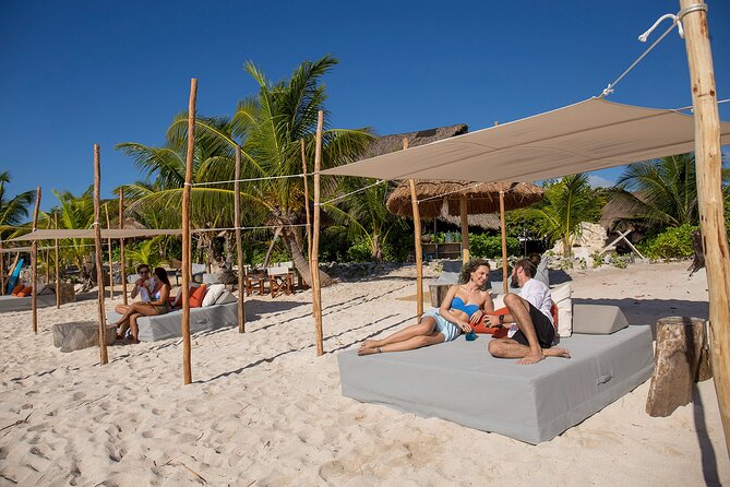 Try Guided Tour Plus Sea Turtle Snorkeling Adventure and Beachside Lunch - Customer Feedback Summary
