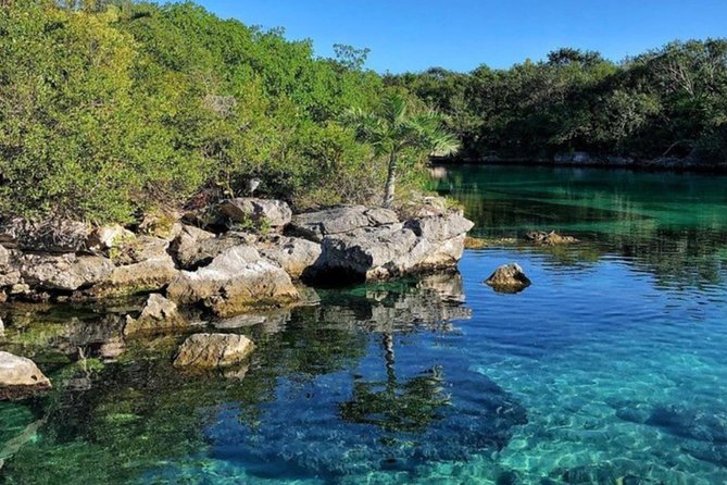 Tulum and Xel-Ha All-Inclusive Day Trip From Cancun - Transportation and Logistics