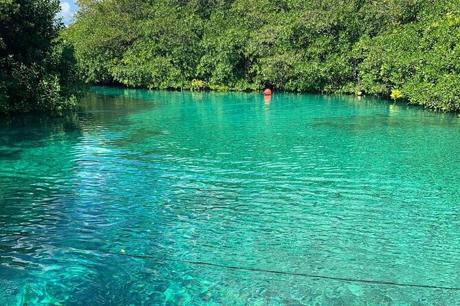 Tulum Area Experiences Guided 2 Tank Scuba Dive Casa Cenote & Barrier Reef-Lunch - Personal Gear and Comfort Considerations