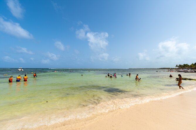 Tulum Ruins Cenote & Swimming With Turtles From Playa Del Carmen - Meeting and Pickup