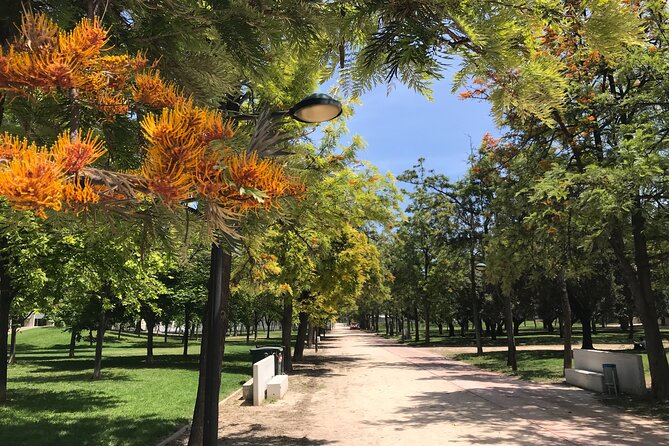 Turia Garden Private E-Scooter Tour  - Valencia - Cancellation Policy and Support