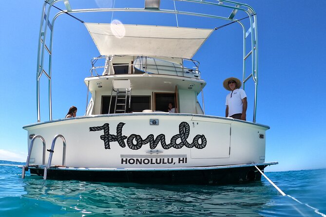 Turtle and Ocean Wildlife Snorkeling Adventure! - Booking Information