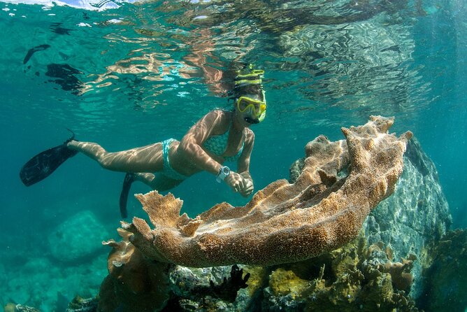 Turtle Snorkel Sail on Buck Island From Frenchmans Reef - Onboard Amenities and Activities