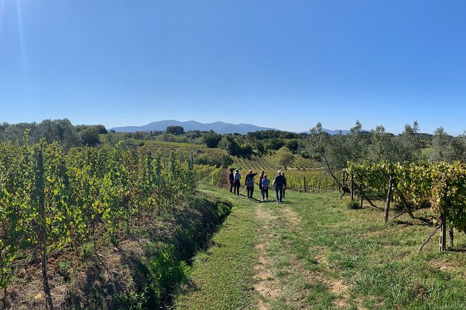 Tuscany and Wine Tasting Private Tour From Livorno - Sum Up