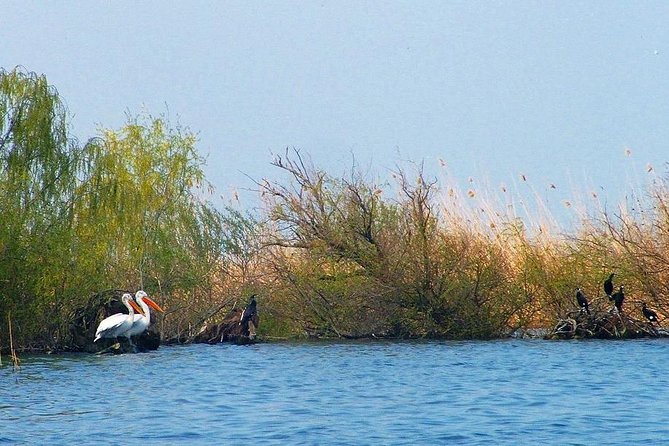 Two-day Birding Trip: Cape Kaliakra & Srebarna Lake - The Sum Up