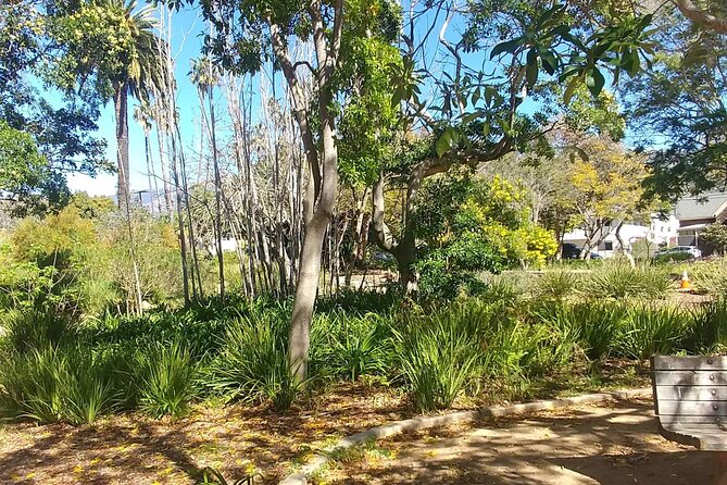 Ultimate Guide to Santa Barbara: A GPS Self-Guided Urban Stroll - Customer Reviews and Feedback