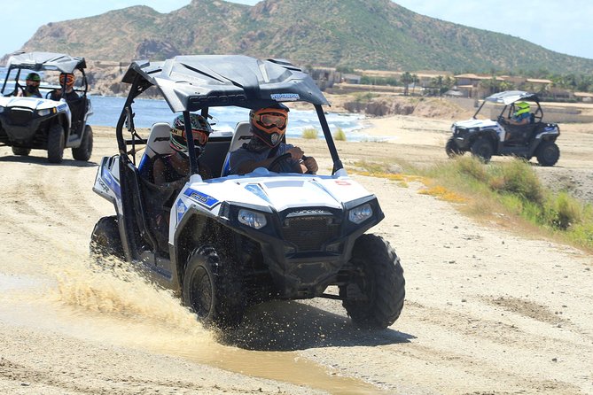 Ultimate UTVs Tour in Los Cabos - Animal Park Adventure
