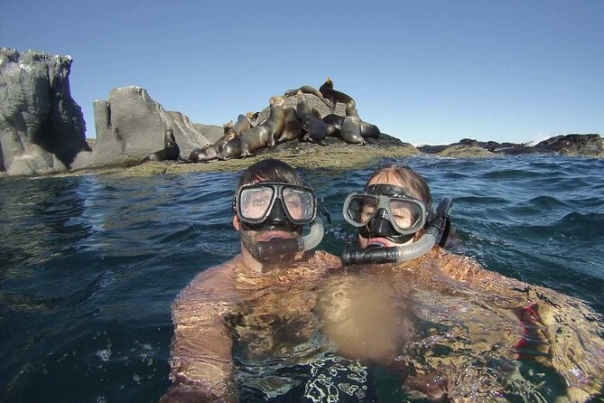 UNESCO World Heritage Site: 1 Day Coronado Island From Loreto Adventure - What to Expect on the Adventure