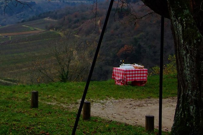 Unusual Exploration of the Terroirs of Burgundy in 2CV - From 6 People - Pricing and Cancellation Policy