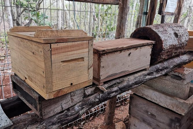 Valladolid Mayan Bees Tour With Lunch or Breakfast and Honey Tasting - Sustainable Beekeeping Practices