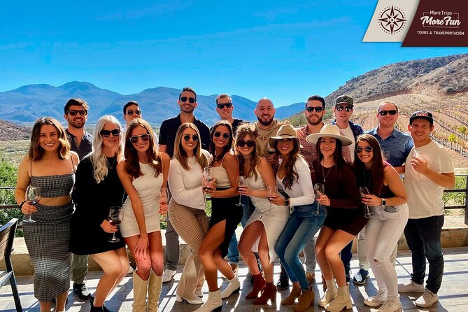 Valle De Guadalupe Winery and Brewery Tours - Transportation and Accessibility