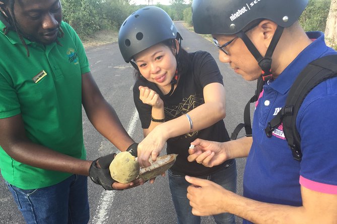 Victoria Falls Segway Tour - Traveler Feedback and Ratings