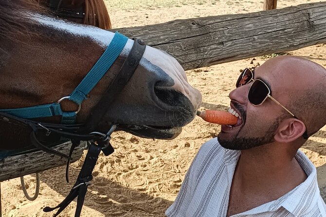 Visit a Farm and Horseback Riding in Nature - Reservation Details