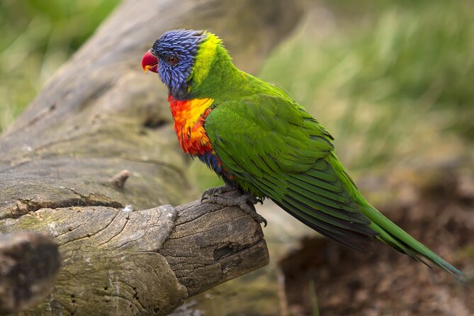 Vltava River Boat Trip and Zoo Entrance Ticket in Prague - Exploring Prague Zoo at Your Leisure