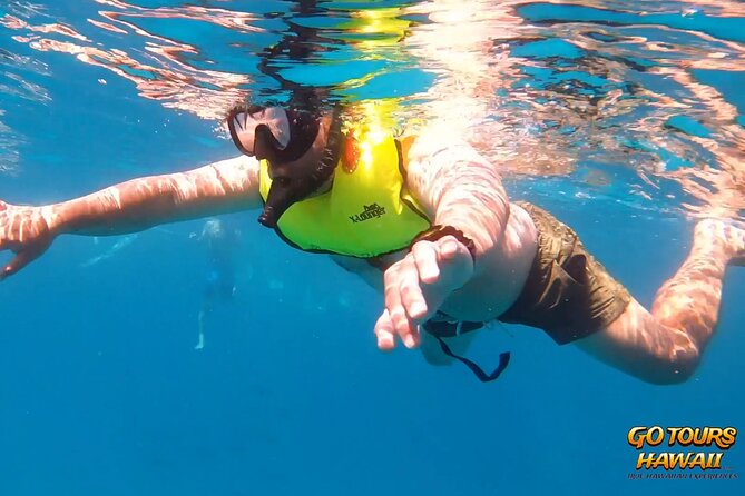 Waikiki Green Sea Turtle Snorkeling Tour - Boat Excursion - Customer Reviews