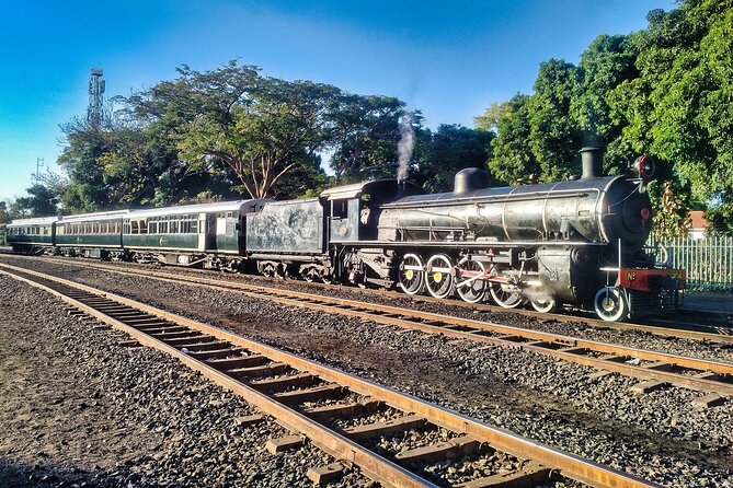 Walking Safari of Victoria Falls Town - Planning Your Walking Safari