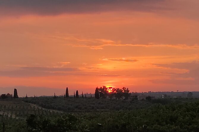 Walking Tour Vendicari Nature Reserve, Tonnara and Noto Barocco - Ask Away