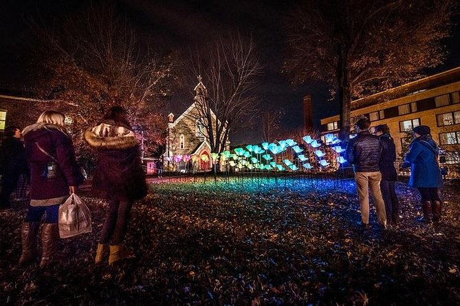 Washington DC Holiday Lights Tour - Memorable Moments and Impressions