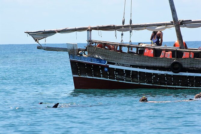 Wasini Dolphin Snorkeling - Frequently Asked Questions