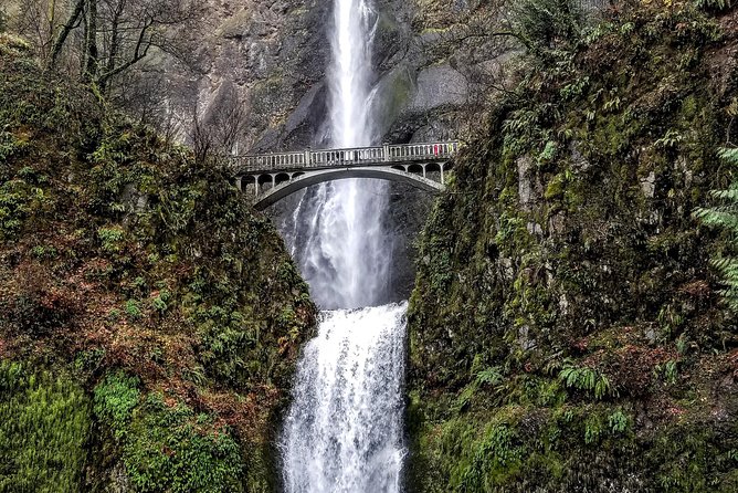 Waterfalls & Wine Tour-Multnomah Falls,Vineyards,Hood River Combo - Potential Concerns and Suggestions