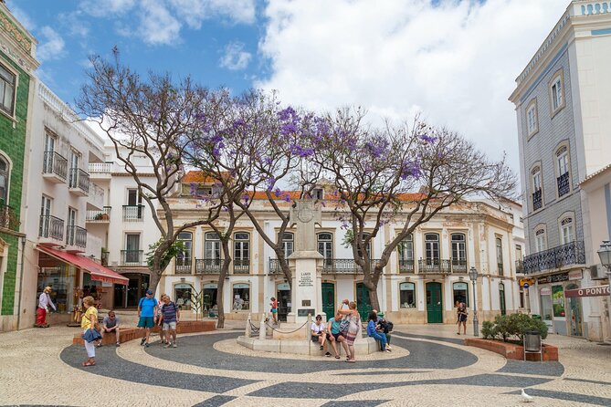 West Algarve Tour With Lagos, Sagres and Cabo De São Vicent - Tour Reviews and Feedback