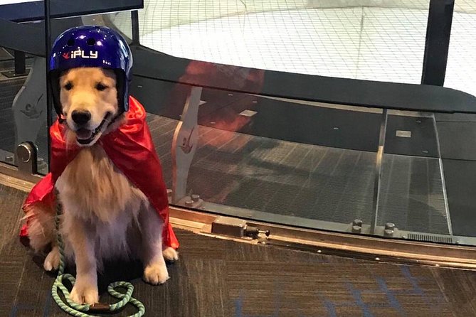 Westchester Indoor Skydiving Admission With 2 Flights & Personalized Certificate - Sum Up