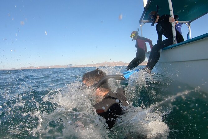 Whale Shark Adventure With Marine Biologists, 4-Hour Tour - Frequently Asked Questions