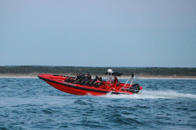 Whale Watching by RIB Speedboat From Downtown Reykjavik - Scenic Views