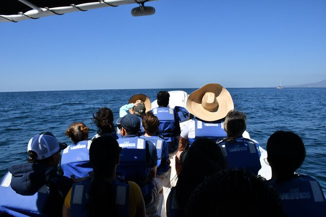 Whale Watching Guaranteed Experience in Puerto Vallarta - Boat Features and Comfort