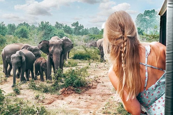 Wild Wonders Of Sri Lanka | 7 Days - Cancellation Policy