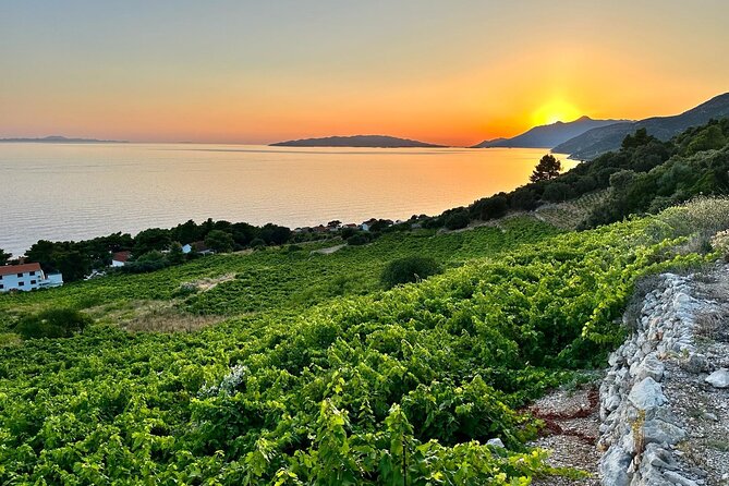 Wine and Gastro Private Tour in Peljesac - The Sum Up