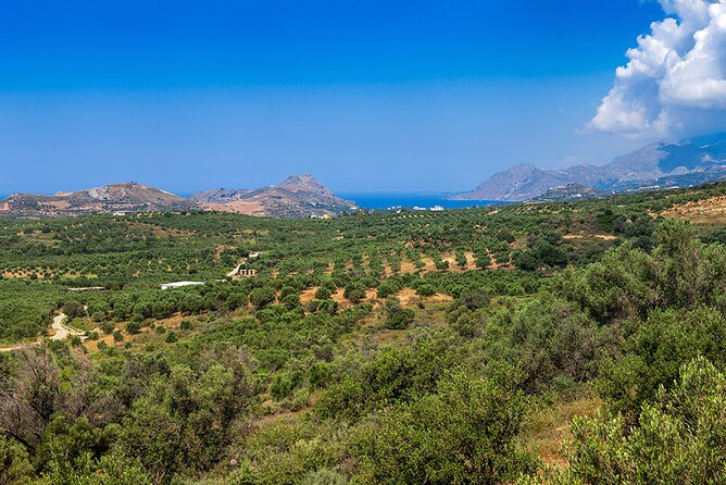 Wine, Beer, Olive Oil Tasting Private Tour (Price per Group of 6) - Local Expertise