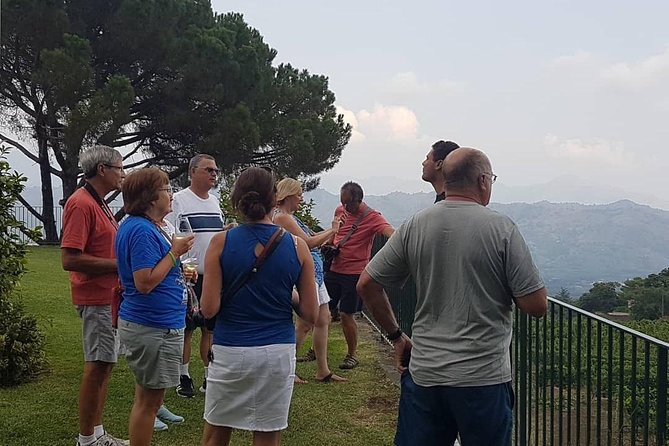 Wine Experience & Taormina Tour From Messina With Luxury Van - What to Expect on the Tour