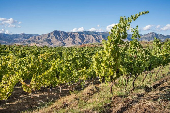 Wine & Food Tasting on Etnas Winery Private Tour - Frequently Asked Questions