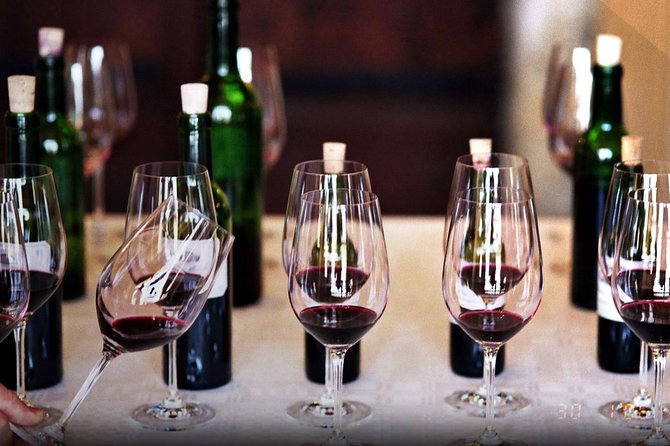 Wine Tasting: Full-Day Wine Tour in Kakheti (ALL INCLUSIVE) - Sustainability Practices