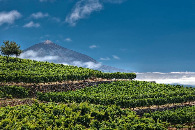 Winery Tour and Tasting in Tenerife With the Sommelier - Additional Important Details