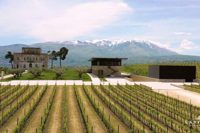 Winery Tour and Wine Tasting in Montepulciano Dabruzzo - Sum Up