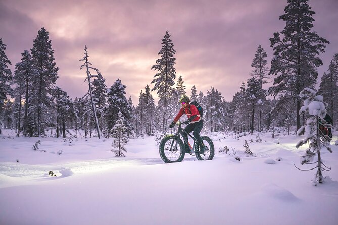 Winter Afternoon Group Ride in Saariselkä - Planning Your Winter Adventure