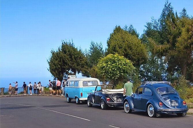 WL Private Classic Tour in North Side of Madeira - Participation Guidelines