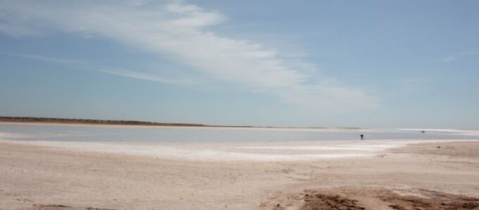 Wonders of Tunisia - 8 Day Tour - Exploring Djerbas Charm
