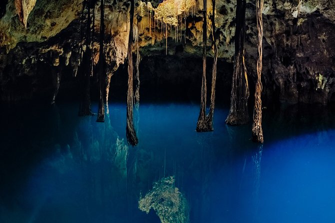 Xcaret 4-Cenotes-Guided Tour- Snacks, Lunch and Drinks Included - Booking and Logistics