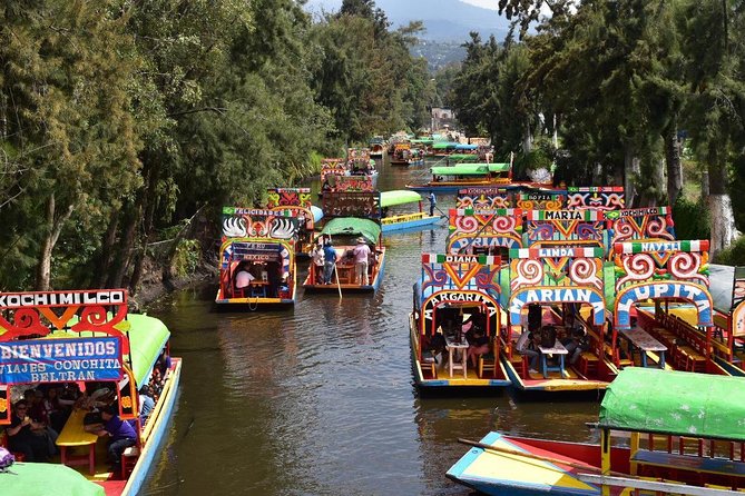 XOCHIMILCO & COYOACAN (Private) - Tour Variability and Considerations