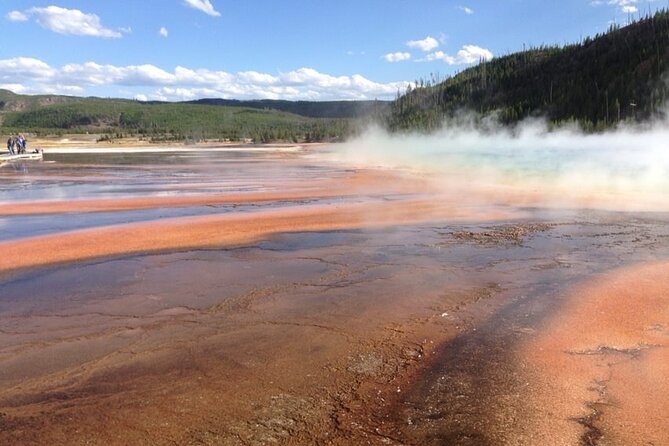 Yellowstone For Kids All-inclusive"Family Fun" Tours PU Cody Wy - Tips for a Great Experience