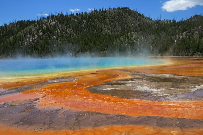 Yellowstone National Park - PRIVATE Full-Day Lower Loop Tour From W. Yellowstone - Customer Reviews