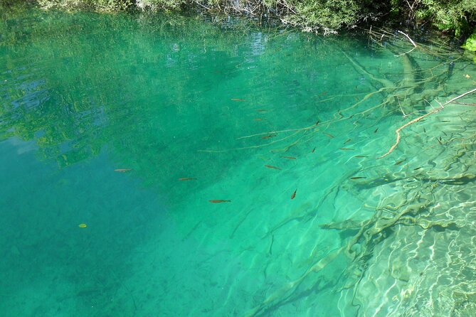 Zagreb Airport or Zagreb to Split via Plitvice Lakes for Singles or Couples - Tips for Travelers