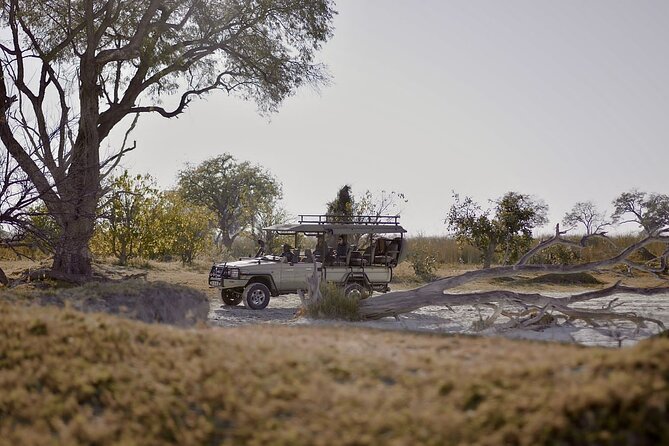 8 Day Chobe NP, Elephant Sands, Okavango Delta & Victoria Falls - Key Points