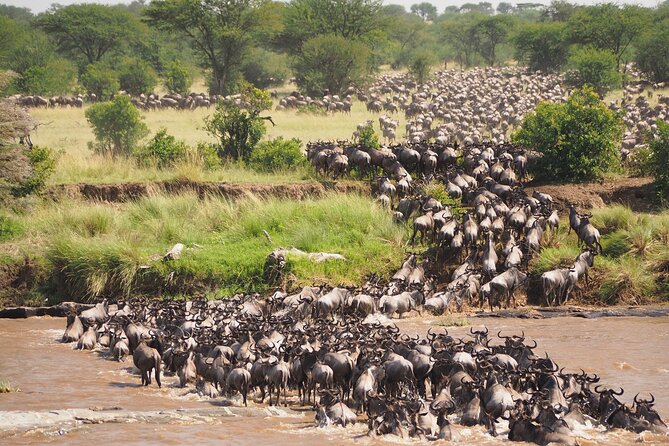 8-Day Grumeti Migration Safari-Luxury Tour May-July - Tour Highlights