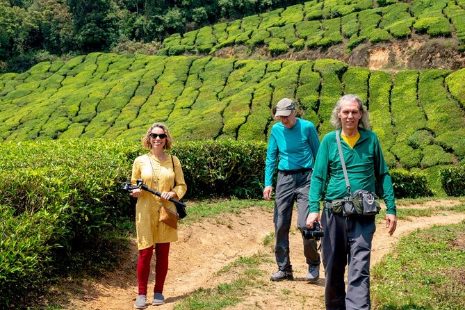 8 Days Kerala Private Tour Covering Kochi- Munnar- Periyar- Alleppey and Kovalam - Good To Know