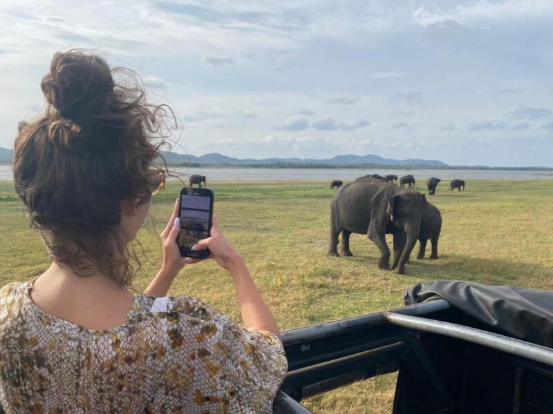 8 Days Round Tour Across Beautiful Nature of Sri Lanka - Good To Know