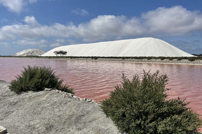 8 Hours Visit to the Camargue Review - Key Points